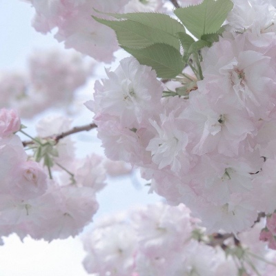 蒙山FurryQQ群介绍